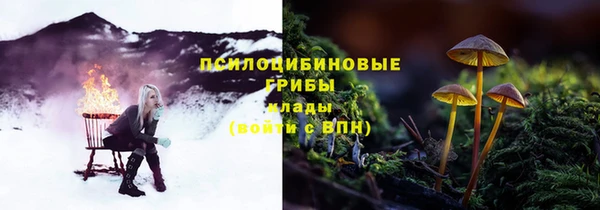 сатива Белокуриха