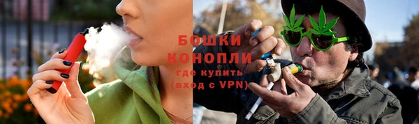 сатива Белокуриха
