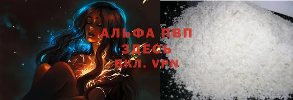 сатива Белокуриха