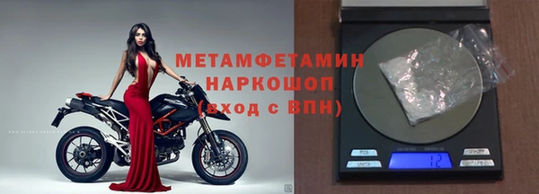 сатива Белокуриха