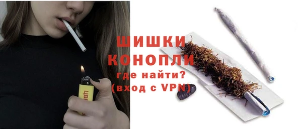 сатива Белокуриха