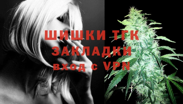 сатива Белокуриха