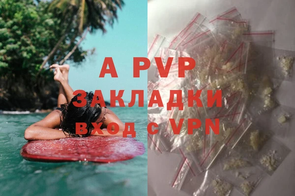 сатива Белокуриха