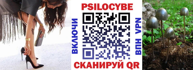 ОМГ ОМГ вход  Володарск  Псилоцибиновые грибы MAGIC MUSHROOMS  как найти закладки 